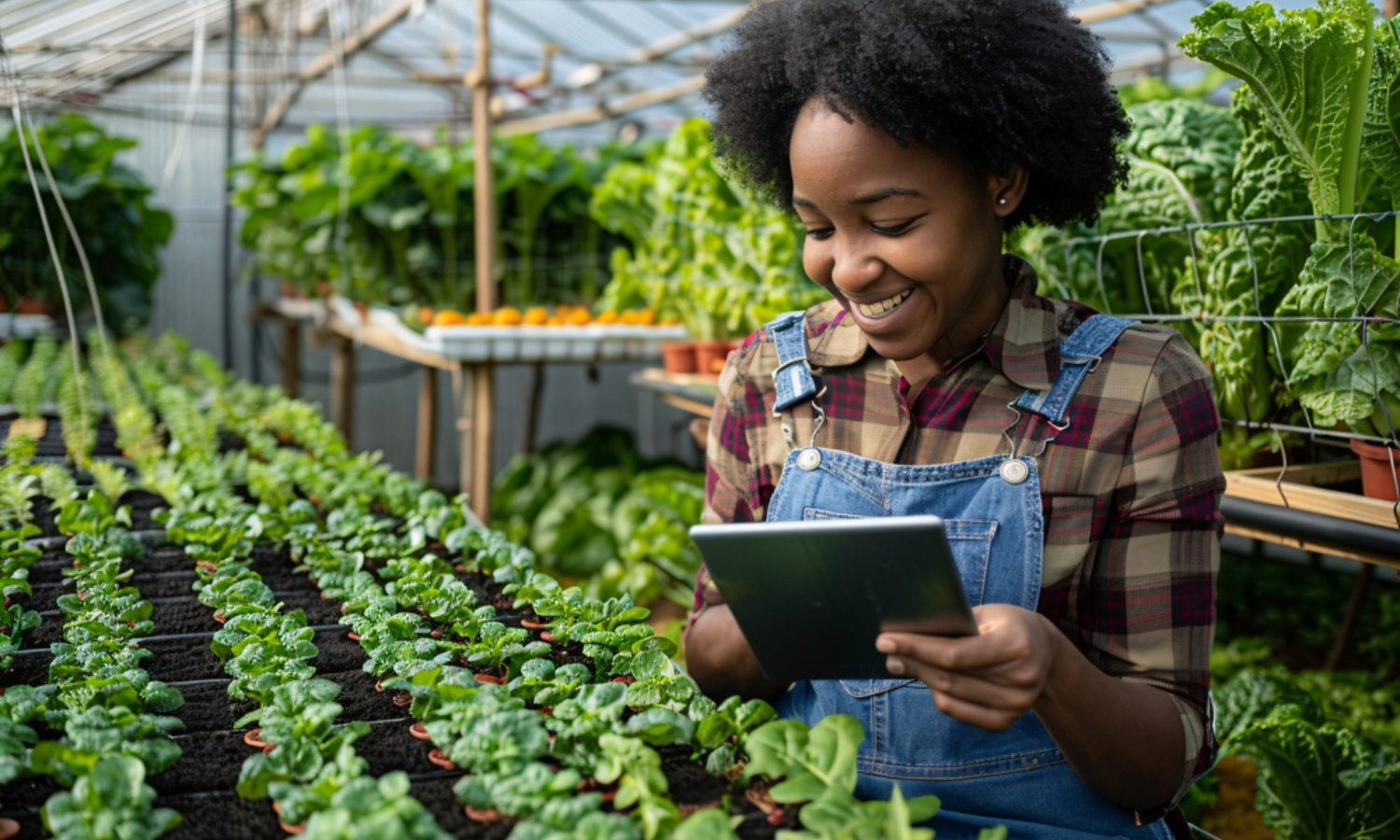 Smart Agriculture Program